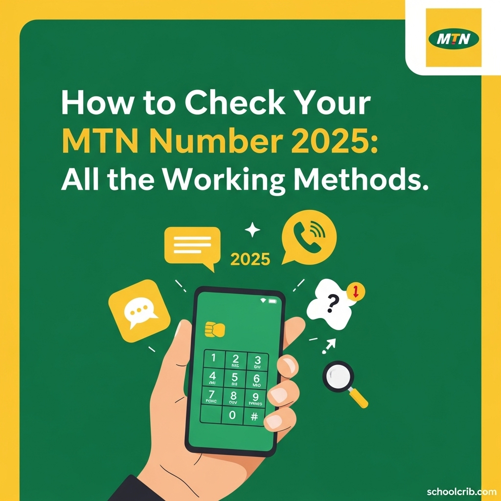 How to Check Your MTN Number 2025: All the Working Methods.
